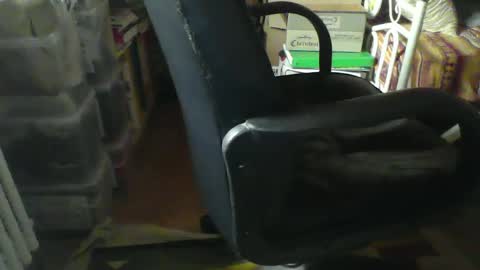 CIPPALIPPA online show from 01.21.25