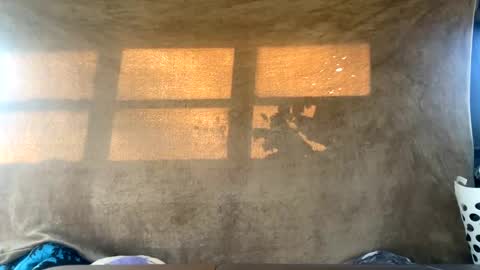 starbie online show from 12.30.24