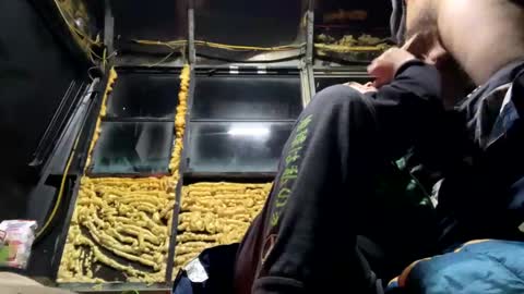 starbie online show from 02.06.25