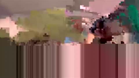 starbie online show from 03.19.26