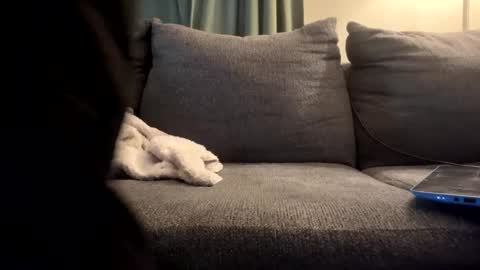 Snapshot of starr3095 chatting on 09.17.25 starr3095 online show from 09.17.25