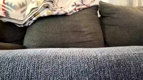 Snapshot of starr3095 chatting on 11.04.25 starr3095 online show from 11.04.25