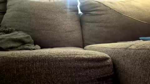 Snapshot of starr3095 chatting on 12.03.25 starr3095 online show from 12.03.25