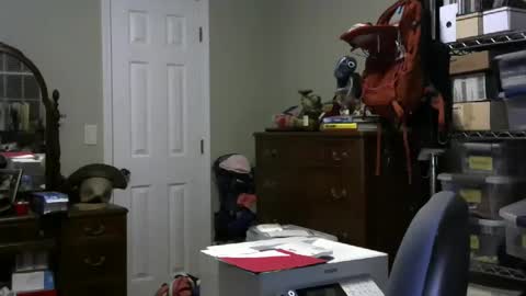 stasw20 online show from 01.25.25