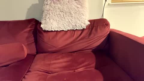 stayshard69696969 online show from 05.02.26