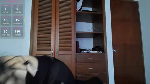 Stafania 3 online show from 10.01.25