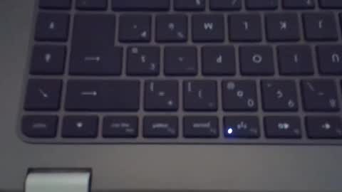 steflab online show from 11.14.25