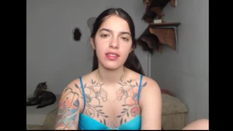 Stella online show from 02.13.26