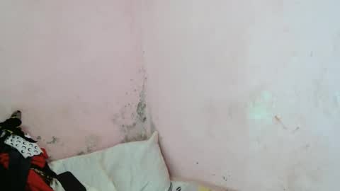 stellah2555 online show from 03.11.26