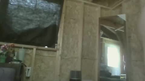 Stella online show from 03.31.26