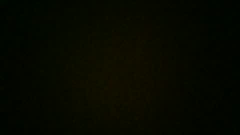 Snapshot of stensurfarn chatting on 11.05.25 stensurfarn online show from 11.05.25