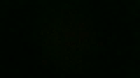 Snapshot of stensurfarn chatting on 12.02.25 stensurfarn online show from 12.02.25