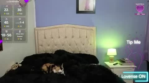 Stephania online show from 06.11.26