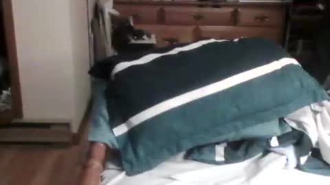 Snapshot of sterben13v chatting on 12.26.24 Ian23602 online show from 12.26.24