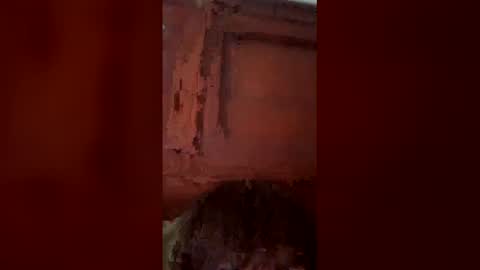 stetsonggg online show from 04.29.26