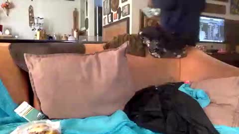 STEVE CASHMASTER 1comedia online show from 02.25.25