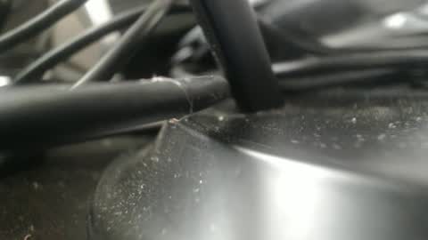 Stew Pididiot online show from 09.11.25