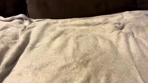 Snapshot of stiffrick682 chatting on 01.07.25 stiffrick682 online show from 01.07.25