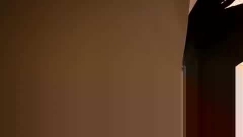 Oval2022 online show from 12.05.24