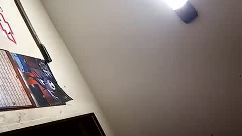 Oval2022 online show from 01.01.25