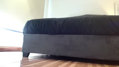 storm_hanks online show from 11.29.25