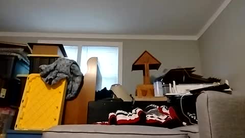 Snapshot of str33twyz3 chatting on 10.25.25 Streetwyze online show from 10.25.25