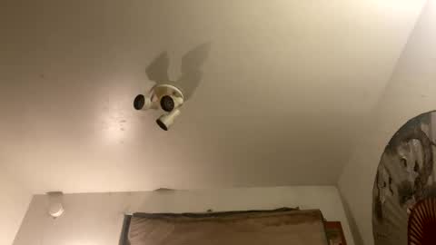 Stag online show from 09.27.25