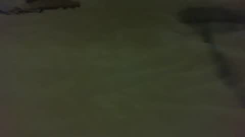 stratocatster online show from 01.11.25