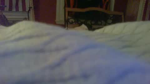 stratocatster online show from 01.24.25