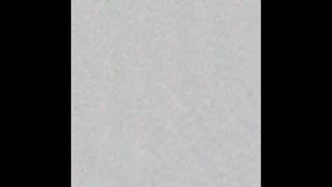 Alice and Violetta online show from 12.14.25