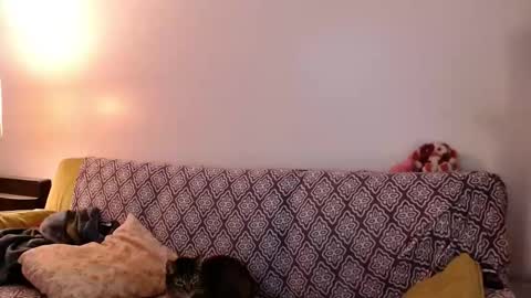 Snapshot of strawberrylotsacake chatting on 11.24.25 Strawberrylotsacake online show from 11.24.25