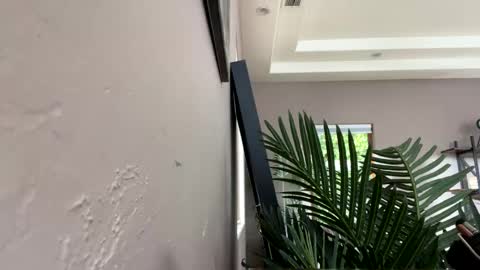 Ruby Moon online show from 12.11.24