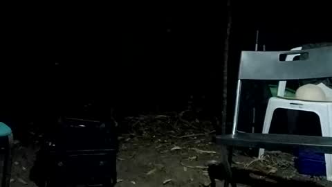 Bigdickdugan online show from 02.12.25