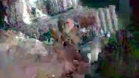 Snapshot of stud_1975 chatting on 03.02.25 stud_1975 online show from 03.02.25