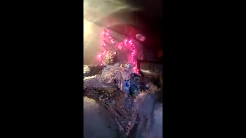 studio311 online show from 02.07.26