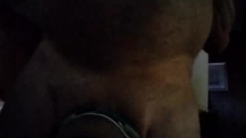 Snapshot of stuffamuffagus69 chatting on 11.16.25 stuffamuffagus69 online show from 11.16.25