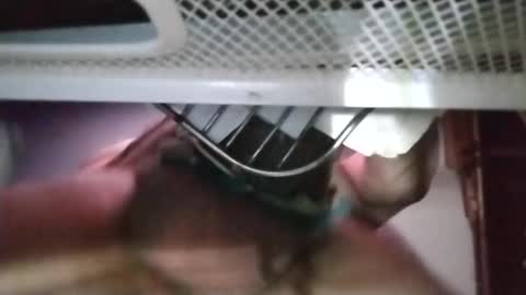 Snapshot of stuffamuffagus69 chatting on 11.18.25 stuffamuffagus69 online show from 11.18.25