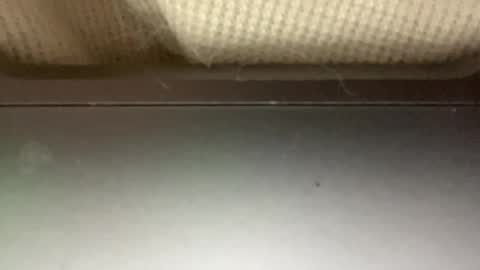 sugadee online show from 02.04.25