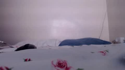 sukmykis online show from 12.17.24