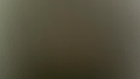 suly online show from 02.04.26