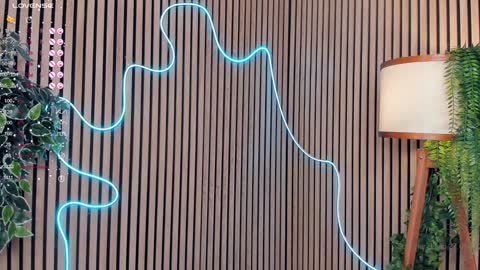 Nelly online show from 01.28.25