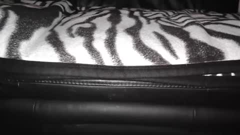 s online show from 12.24.24