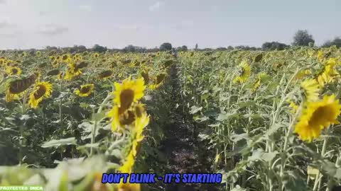 Snapshot of sunflower0907 chatting on 09.14.25 Tina. Im topless model online show from 09.14.25