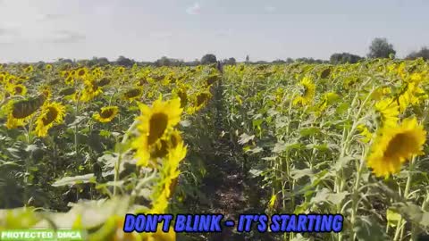 Snapshot of sunflower0907 chatting on 02.05.26 Tina. Im topless model online show from 02.05.26