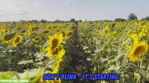 Snapshot of sunflower0907 chatting on 02.09.26 Tina. Im topless model online show from 02.09.26