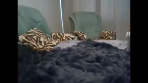 Snapshot of suni_bitch chatting on 03.07.25 suni online show from 03.07.25