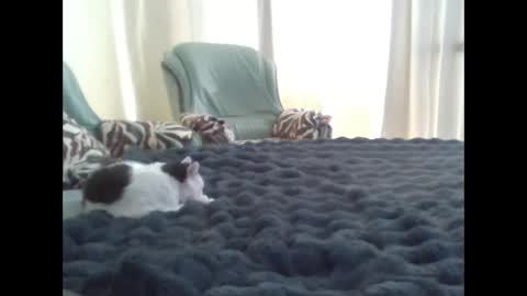 Snapshot of suni_bitch chatting on 03.10.25 suni online show from 03.10.25