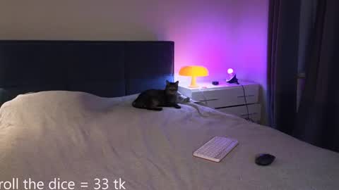 Amy online show from 05.02.26
