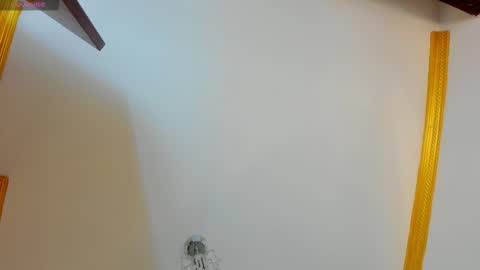 Snapshot of sunnyleonz chatting on 02.13.26 Sunny Leon Z online show from 02.13.26