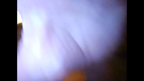 Snapshot of suntroll chatting on 02.07.25 Suntroll online show from 02.07.25